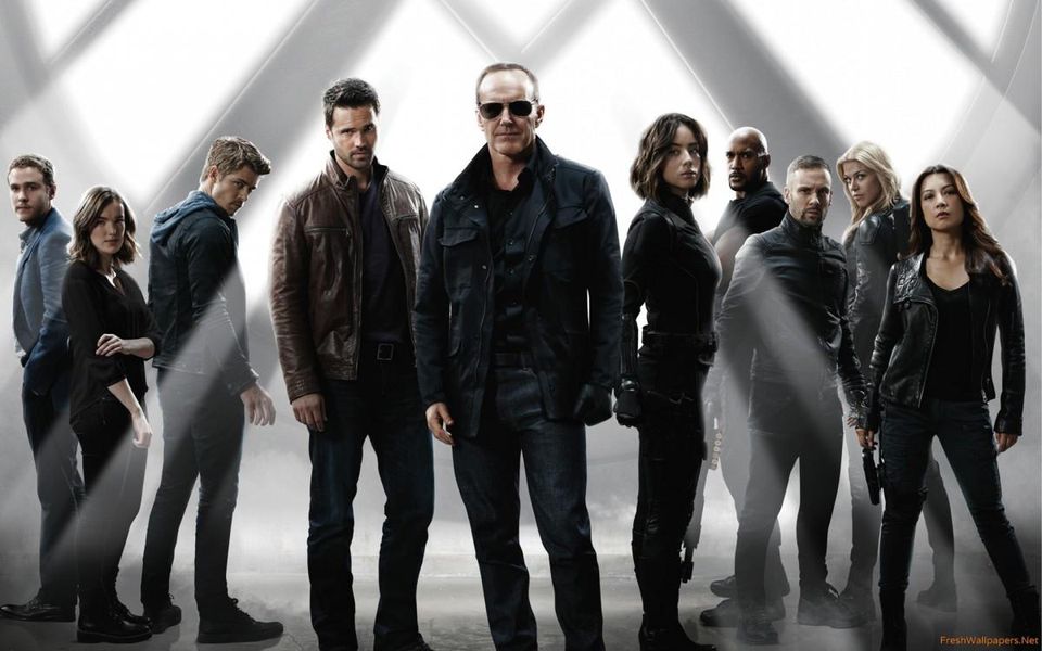 Agents of S.H.I.E.L.D., a group of people