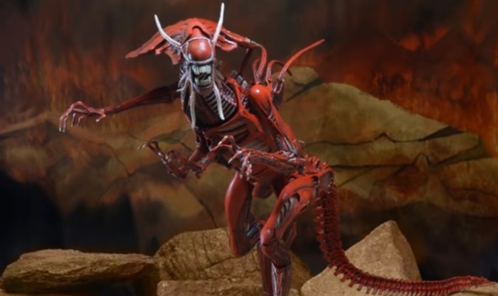 Red Xenomorph, extraterrestrial monster